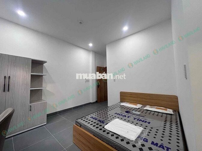 ✨🌟VÀO Ở NGAY STUDIO MỚI - TRẦN VIỆN - HOÀ XUÂN