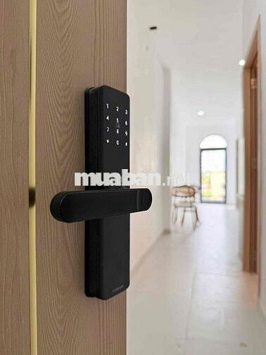 Siêu Phẩm CHDV Studio-2PN Ban Công, Lý Thường Kiệt, Phường 12, Quận 10