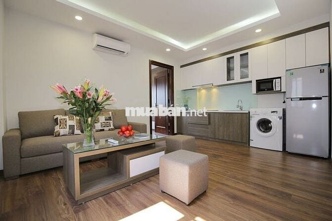 Căn hộ dịch vụ phố  Đào Tấn cho thuê căn 1 ngủ 60m2