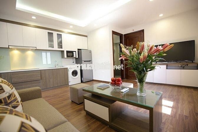 Căn hộ dịch vụ phố  Đào Tấn cho thuê căn 1 ngủ 60m2