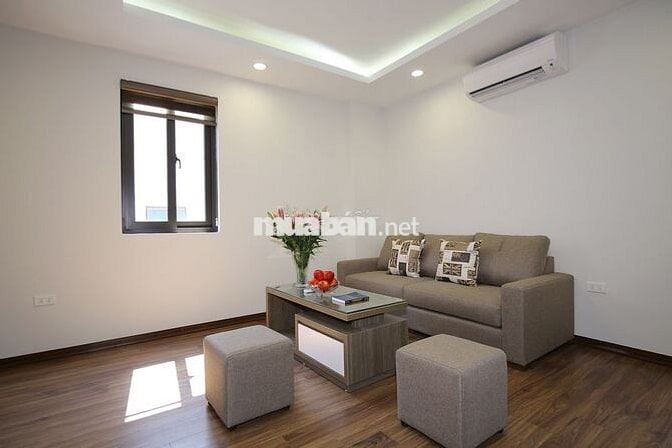 Căn hộ dịch vụ phố  Đào Tấn cho thuê căn 1 ngủ 60m2