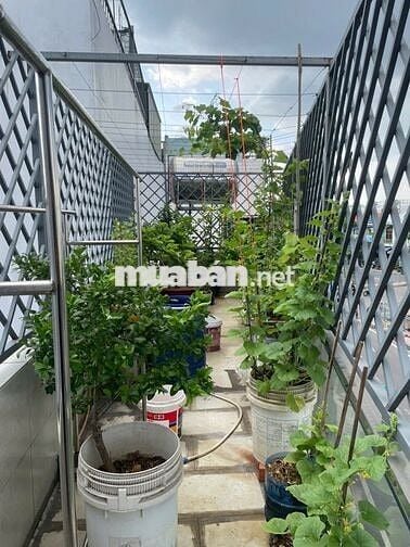 Hot! Mặt tiền dài 20m, Phù hợp ở ,kinh doanh và văn phòng. Nhà 3lầu