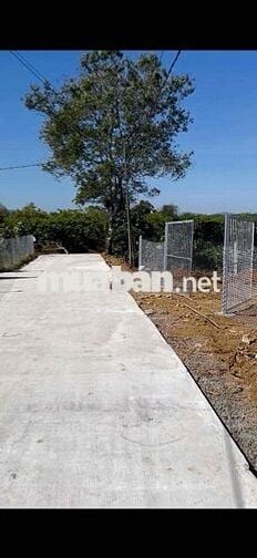 - 1101m2 đất thổ vườn có 200m² Thổ cư - Thôn An Hoà - Lộc An