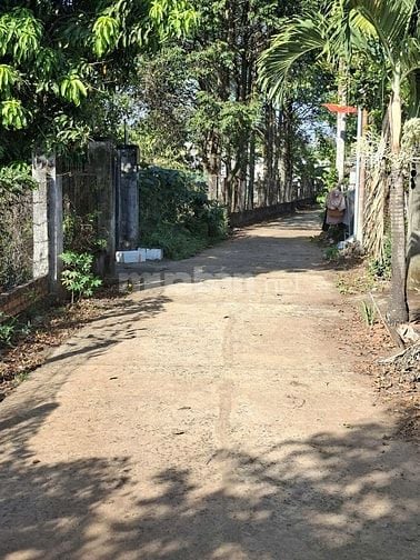  Đất nhà vườn Buôn Ma Thuột – chỉ 1 tỷ/1 lô