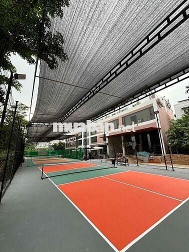 Tuyển nhân viên lễ tân Sân Pickleball Khu vực
