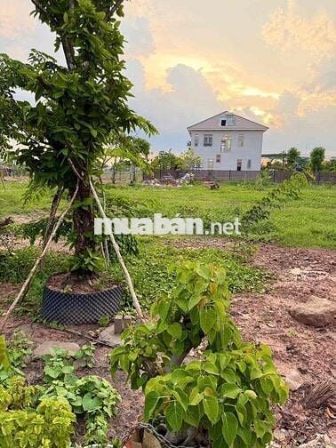 Bán Đất 400m2 Có 250 Thổ Cư, MT XTT 20m Cách Chợ XTT Chỉ 300m.