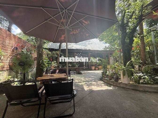 Cho thuê fun quán cà phê gần Ngã 6 Chùa Bà