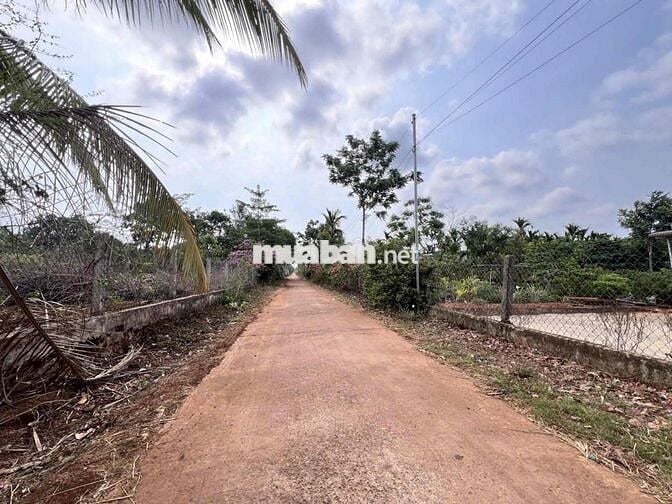 Bán đất xã Cư Bao, diện tích 15x48m full thổ cư giá tốt