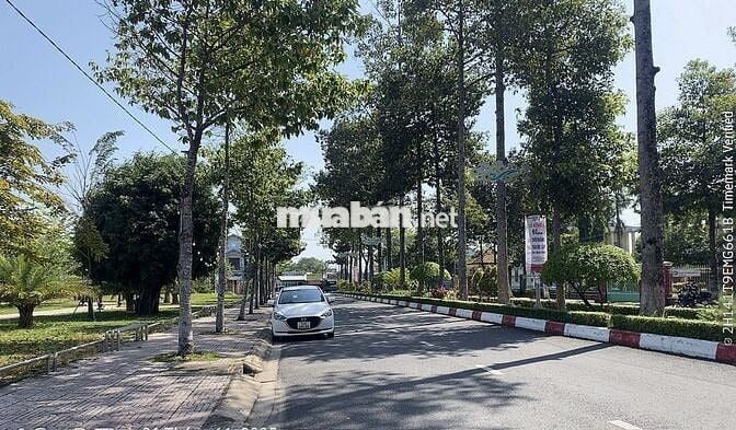 ACE QUAN TÂM ĐẾN ĐẤT THỔ CƯ ( ODT) TẠI TT HUYỆN - THỊ TRẤN HẬU NGHĨA