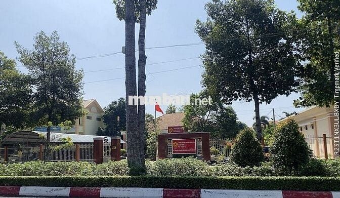 ACE QUAN TÂM ĐẾN ĐẤT THỔ CƯ ( ODT) TẠI TT HUYỆN - THỊ TRẤN HẬU NGHĨA