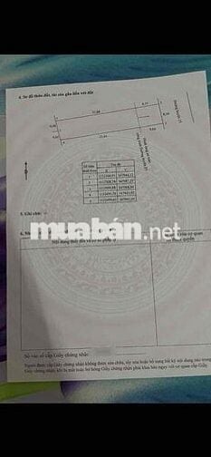 NHÀ BIỆT THỰ MẶT TIỀN ĐƯỜNG HUYỆN 25 CẠNH ĐƯỜNG PHAN VĂN ĐÁNG