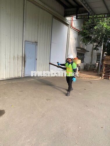 Tuyển KTV Diệt Côn Trùng Tại Hồ Chí Minh - Ca Đêm