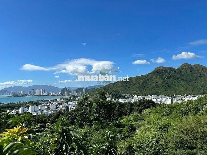 VILLA ĐỒI NÚI - VIEW TOÀN VỊNH NHA TRANG- 5 PHÒNG NGỦ - CÓ THANG MÁY