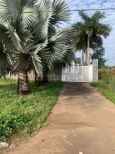 Bán nhà mặt tiền đường 765 , biệt thự sân vườn. Có thương lượng
