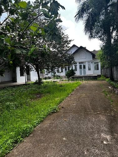 Bán nhà mặt tiền đường 765 , biệt thự sân vườn. Có thương lượng
