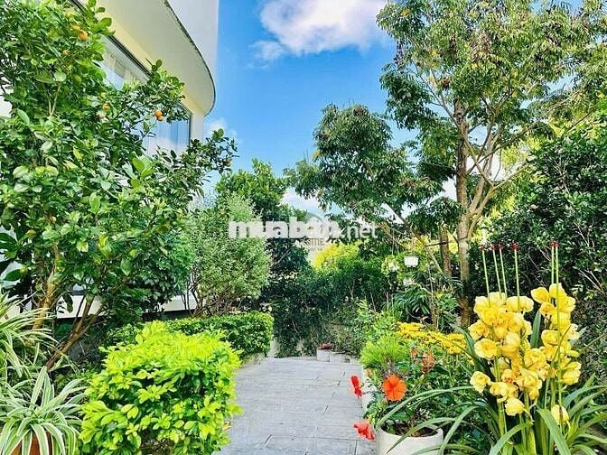 VILLA ĐỒI NÚI - VIEW TOÀN VỊNH NHA TRANG- 5 PHÒNG NGỦ - CÓ THANG MÁY