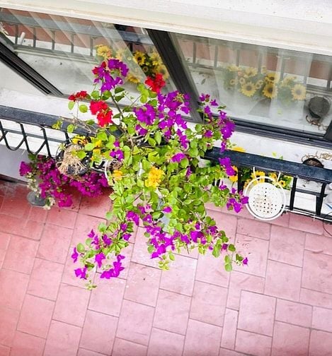 Tôi chính chủ cần bán nhà phố Xã Đàn, Đống Đa. 35m 10,8 tỷ.