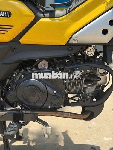 Yamaha PG-1 Vàng Xe số