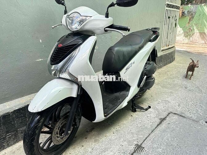 Honda SH 125i 2013 Trắng