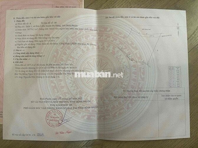 Bán rẫy cà phê, cao su ven hồ Thác Mơ