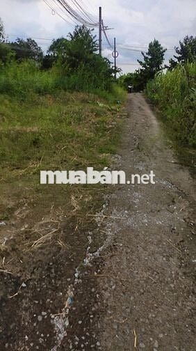 Cần bán lô đất gần ngã Ba Tân Kim, Cần Giuộc giá 550 triệu/ 101m2 