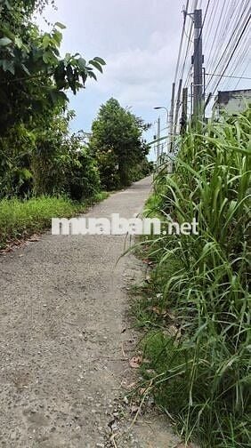 Cần bán lô đất gần ngã Ba Tân Kim, Cần Giuộc giá 550 triệu/ 101m2 