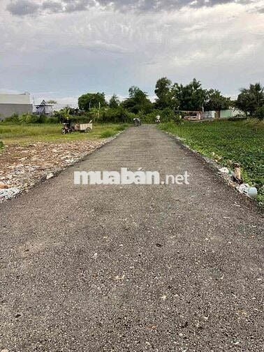 Chủ kẹt gửi bán 159m2 đất thổ gần KCN Cầu Tràm, giá 590trieu, bao giấy