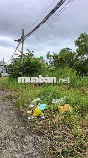 Cần bán lô đất gần ngã Ba Tân Kim, Cần Giuộc giá 550 triệu/ 101m2 