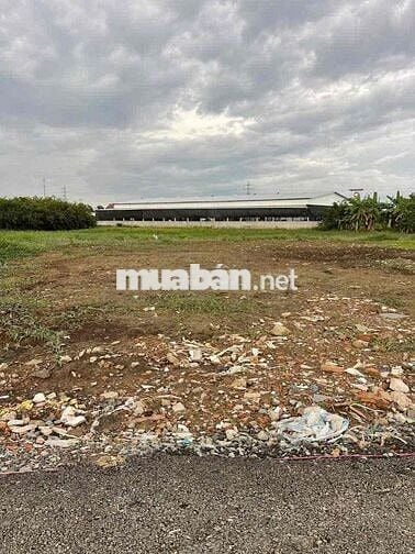 Chủ kẹt gửi bán 159m2 đất thổ gần KCN Cầu Tràm, giá 590trieu, bao giấy