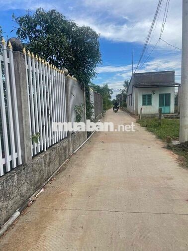 Đất Mỹ Lộc dt 92m2 full thổ shr gần UBND Mỹ Lộc Giá 520tr