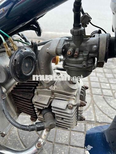 Honda Cub Xanh Đã custom