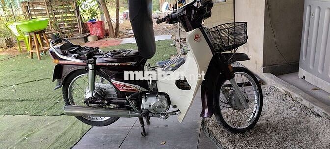 Honda Dream Cổ điển Nâu, Trắng