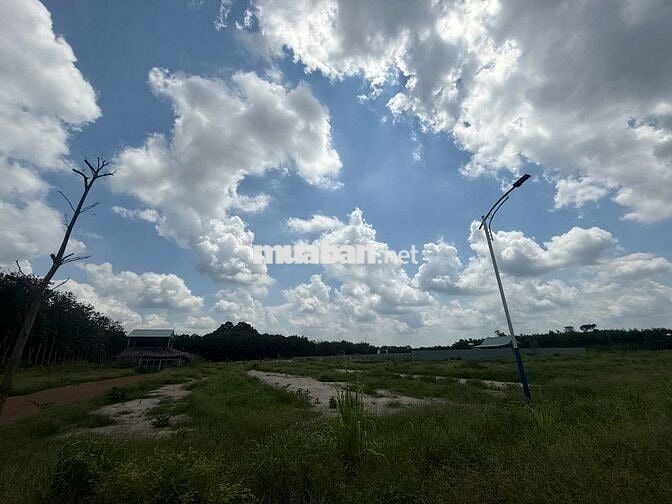 Cắt lỗ mạnh, sang nhượng nhanh lô đất mặt tiền Cao Bá Quát