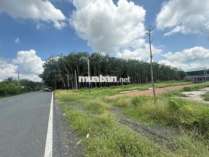 Cắt lỗ mạnh, sang nhượng nhanh lô đất mặt tiền Cao Bá Quát
