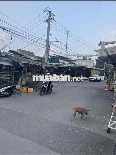 Bán đất đẹp gần chợ Hòa Lân , hợp đầu tư kinh doanh , SHR , Thuận Giao
