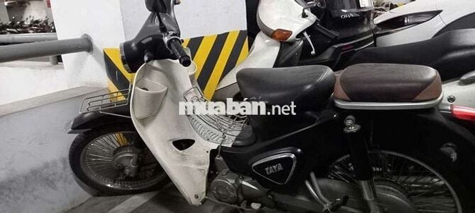 Taya Cub Motor 2020 Đen, Trắng
