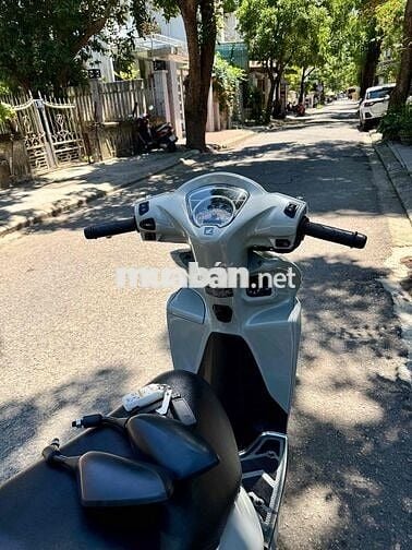Vision 3/2026 Cao cấp Xám xi măng ***