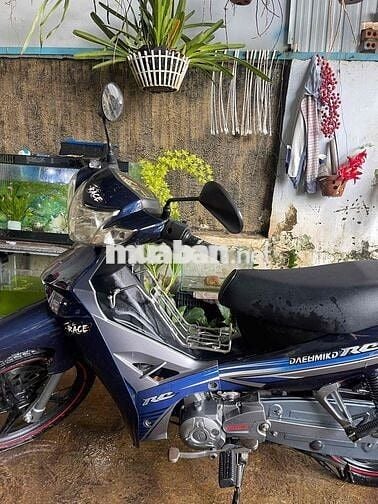 Daelim RC 50cc Xanh đen