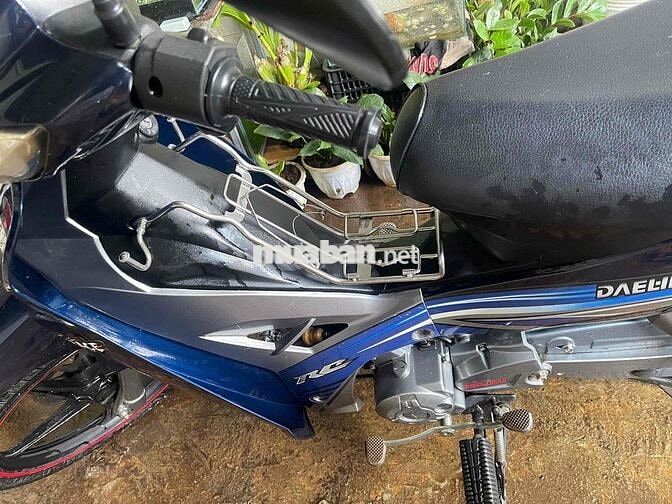 Daelim RC 50cc Xanh đen