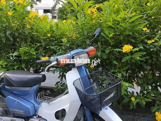 Cub 84 bs 63  1 chủ, phuộc đòn gánh, chưa mần đồng