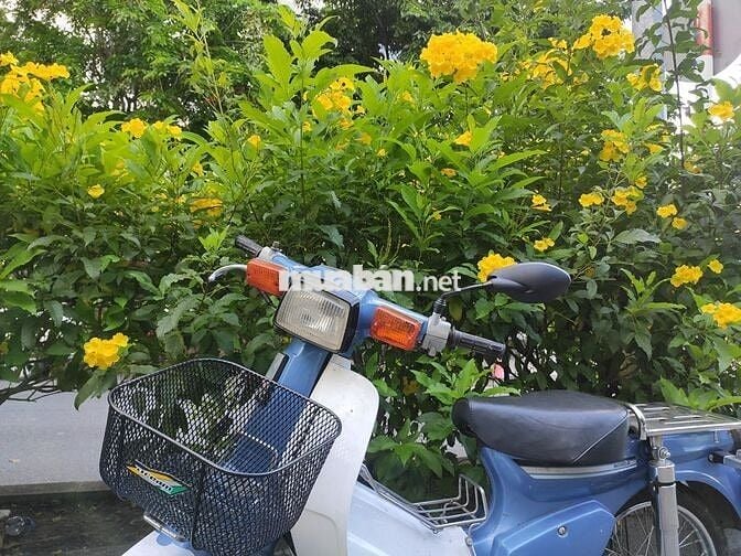 Cub 84 bs 63  1 chủ, phuộc đòn gánh, chưa mần đồng