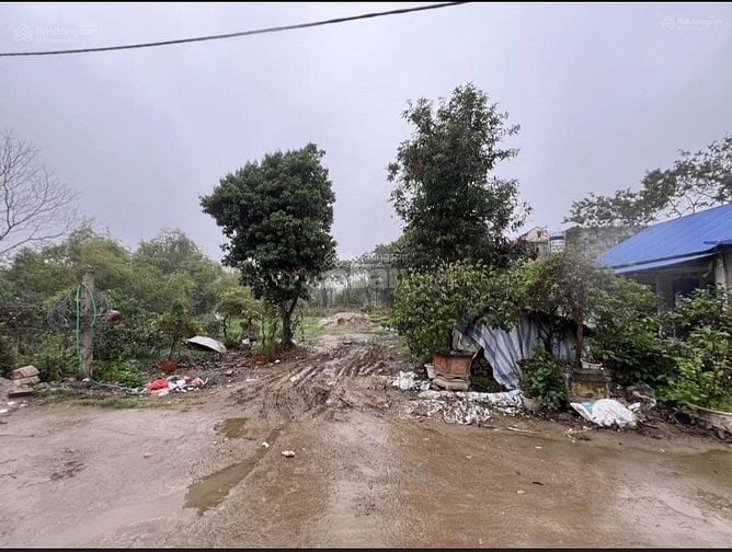 Bán đất ô đất thổ cư 600m2 gần nhà thờ đông cao