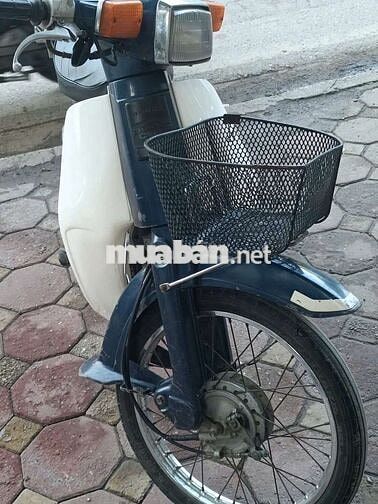 Honda 82-95 Xanh, Trắng Nhật
