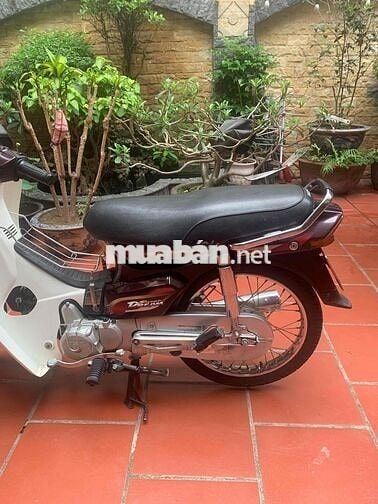 Honda Dream Việt 2007 Nâu 100cc
