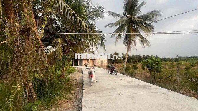 Bán hơn 5 công đất lộn 4m giao nhau với lộ 918 và vành đai phía Tây.