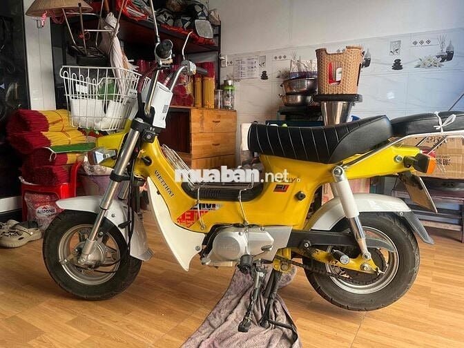 Honda Chaly Việt Thái