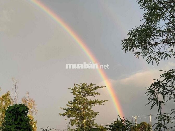 Mặt tiền view sông cách QL 61C 300M và Cái Răng 500M