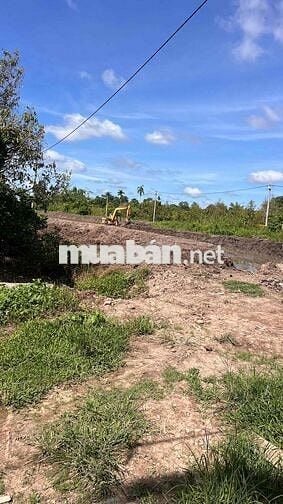 Bán hơn 5 công đất lộn 4m giao nhau với lộ 918 và vành đai phía Tây.