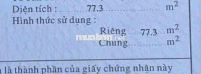 BÁN ĐẤT ĐƯỜNG SỐ P. TÂN QUY – QUẬN 7