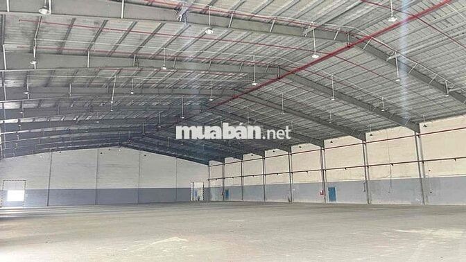 𝗫𝗨̛𝗢̛̉𝗡𝗚 𝗕𝗜̀𝗡𝗛  𝐓𝐀̂𝐍, 3500m2, pccc tự động